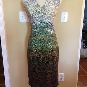 Calvin Klein brown and Green hombre Day dress
